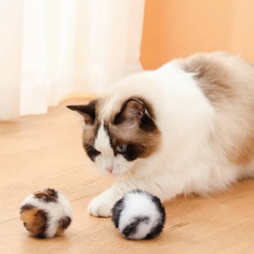 balle pour chat peluche chat jouant