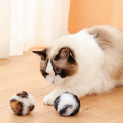 balle pour chat peluche chat jouant