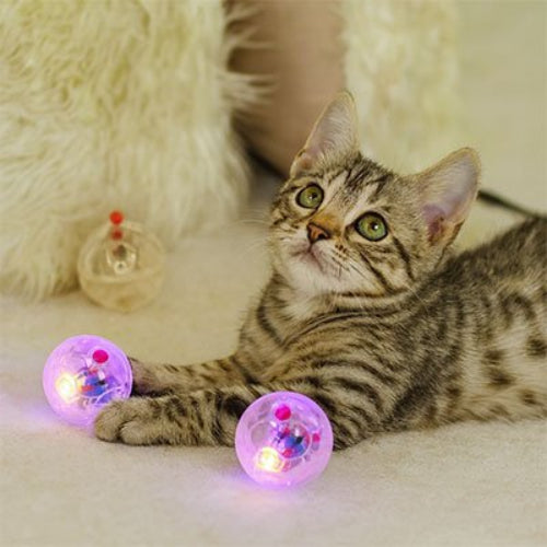 balle pour chat transparente chat allonge