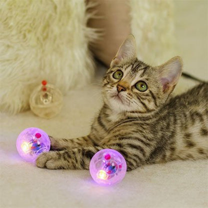 balle pour chat transparente chat allonge