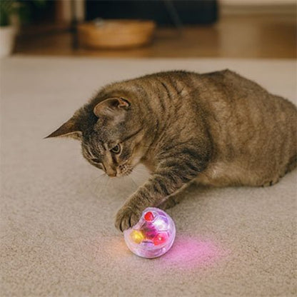 balle pour chat transparente chat jouant