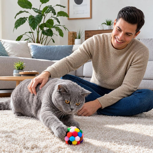 balles pour chat multicolore maitre chat attrapant