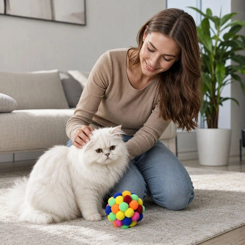 balles pour chat multicolore maitresse chat assis