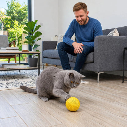 balles pour chat sisal jaune maitre chat jouant