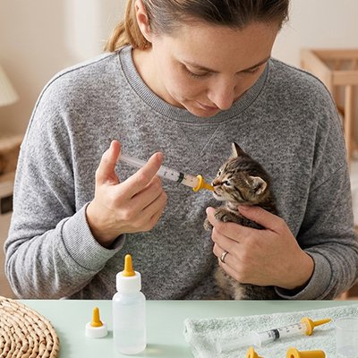 biberon chaton kit complet maitresse chat buvant