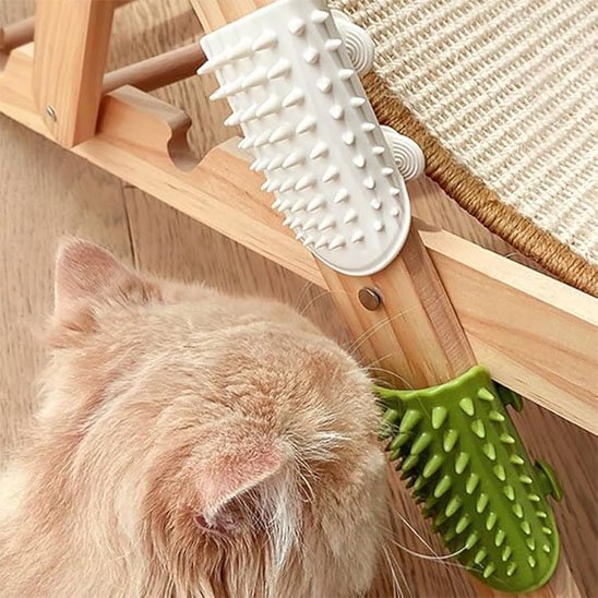 brosse à chat fixation modulaire blanc vert