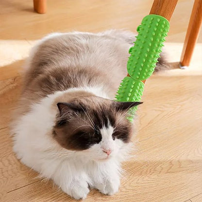 brosse à chat fixation modulaire vert