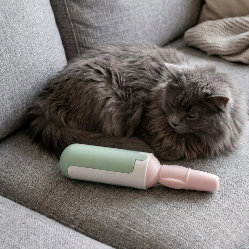 brosse anti poil compact vert blanc chat allonge canape