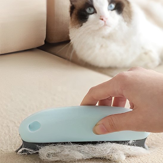 brosse anti poil​ ergonomique bleu clair chat canape
