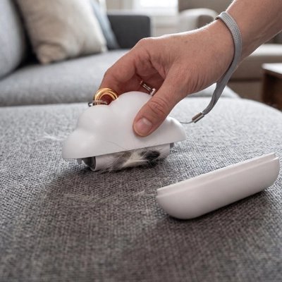 brosse anti poil voyage blanc canape