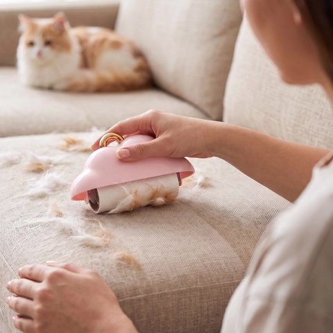 brosse anti poil voyage rose maitresse chat allonge canape