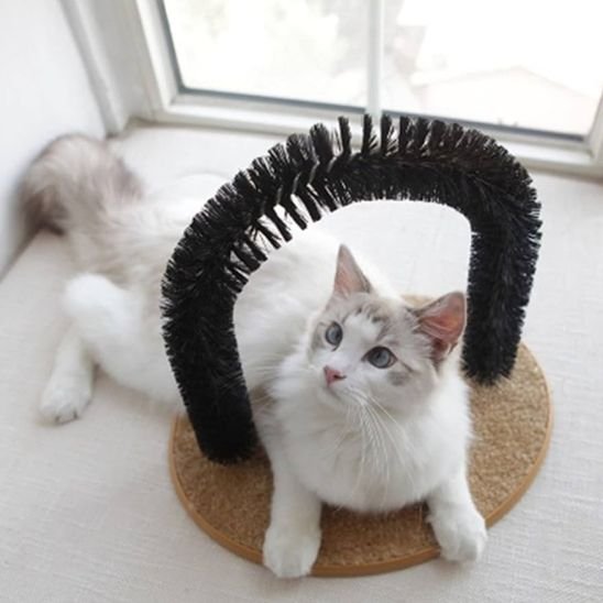 brosse chat design arche chat blanc