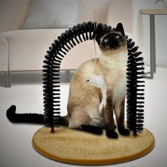 brosse chat design arche chat brossage