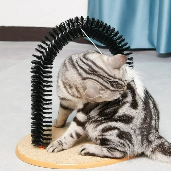 brosse chat design arche chat jeux