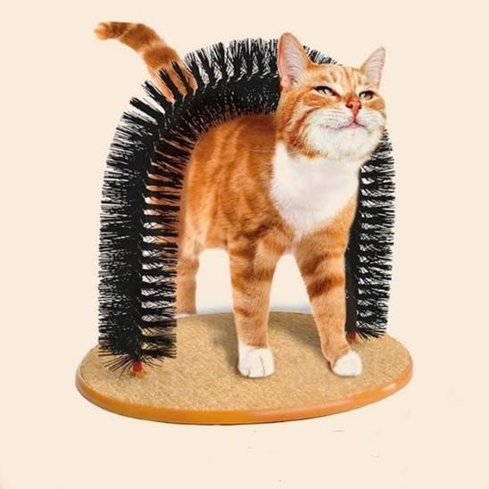 brosse chat design arche chat orange