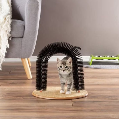 brosse chat design arche chaton