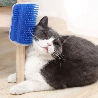 brosse chat fixation murale bleu