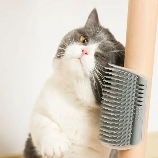 brosse chat fixation murale gris chat apaise
