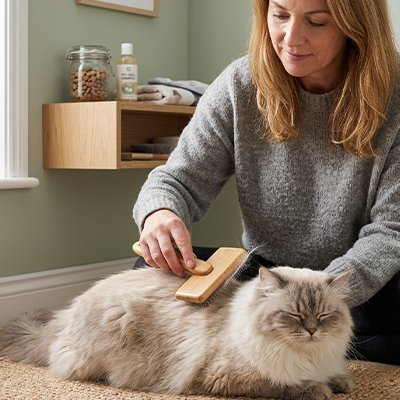 brosse chat poil long​ bois naturel maitresse salon