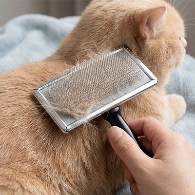 brosse chat poil long​ design rectangulaire chat