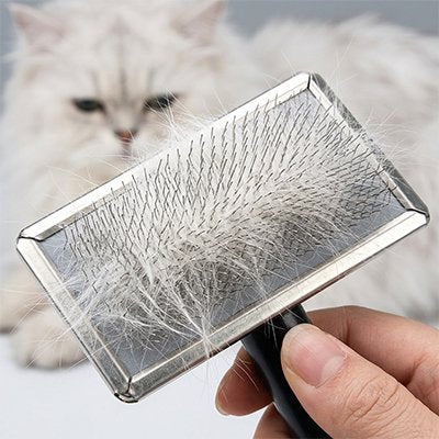 brosse chat poil long​ noir design rectangulaire chat