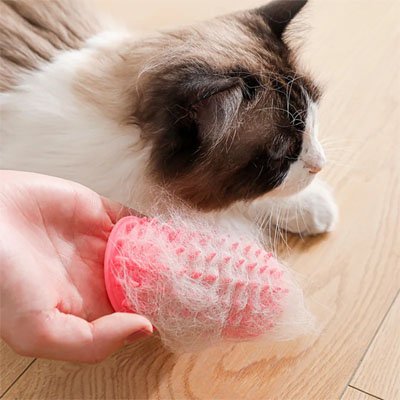 brosse chat souple rose