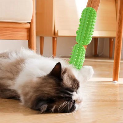 brosse chat souple vert chat apaise