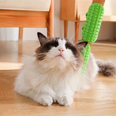 brosse chat souple vert chat detendu