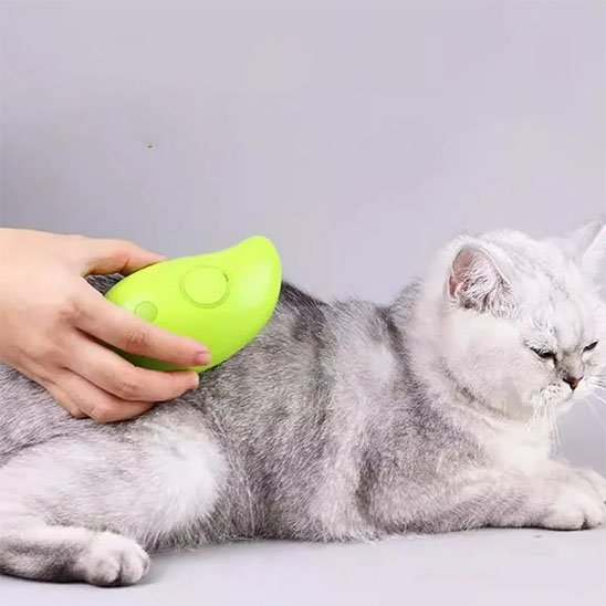 brosse poil chat​ 2 en 1 vert chat allonge