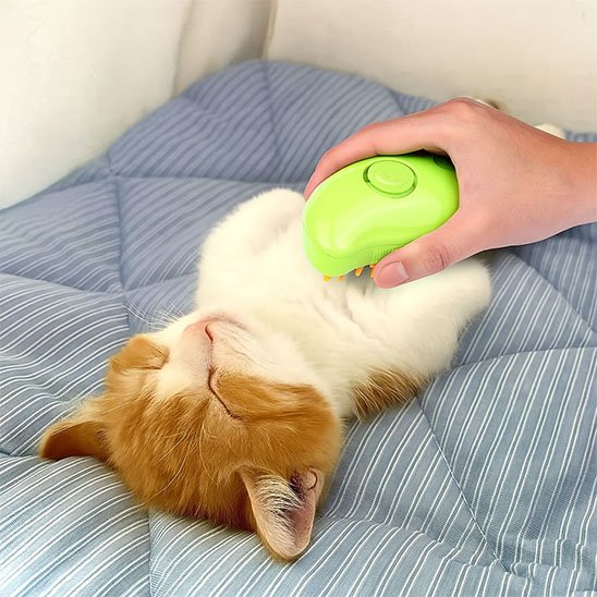 brosse poil chat​ 2 en 1 vert chat apaise