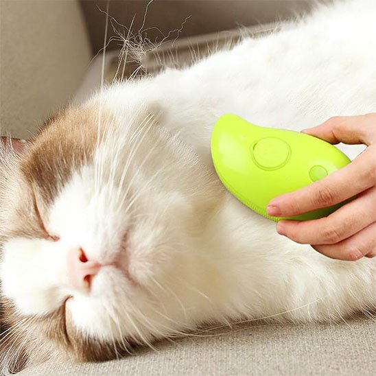 brosse poil chat​ 2 en 1 vert chat detendu