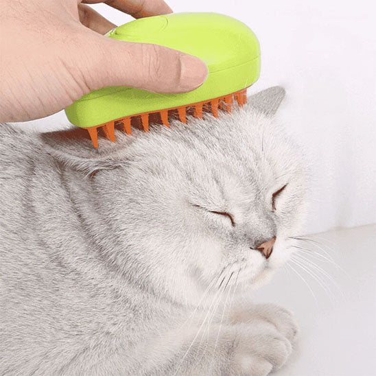 brosse poil chat​ 2 en 1 vert chat relaxe