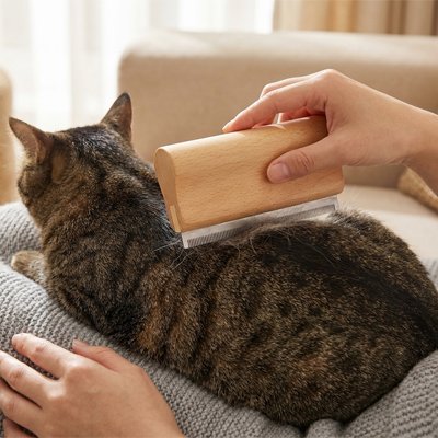 brosse poil chat​ bois naturel chat allonge