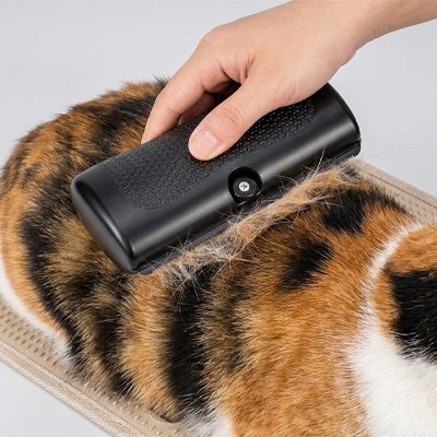 brosse poil chat​ premium noir dos chat
