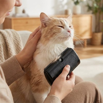 brosse poil chat​ premium noir maitresse chat