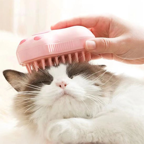 brosse pour chat 3 en 1 chat apaise