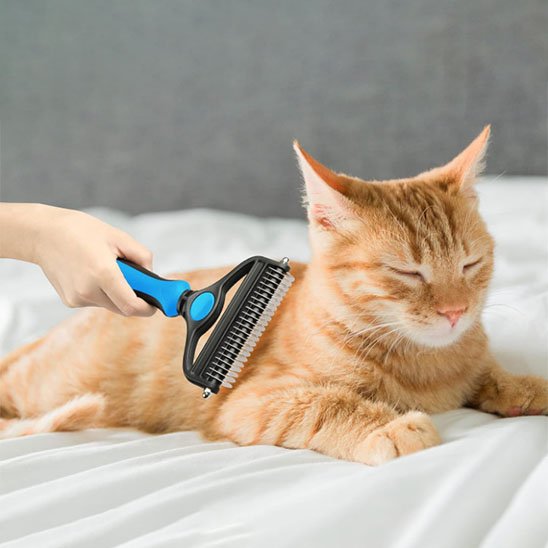 brosse pour chat acier inoxydable bleu chat allonge