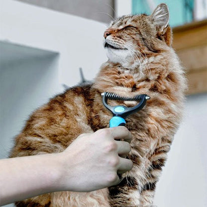 brosse pour chat acier inoxydable bleu chat debout