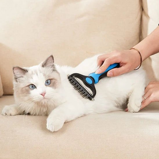 brosse pour chat bleu acier inoxydable chat allonge canape