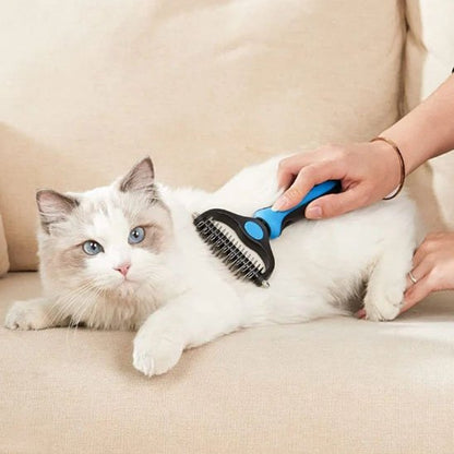 brosse pour chat bleu acier inoxydable chat allonge canape