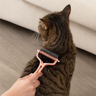 brosse pour chat demele nœuds rose saumon chat assis