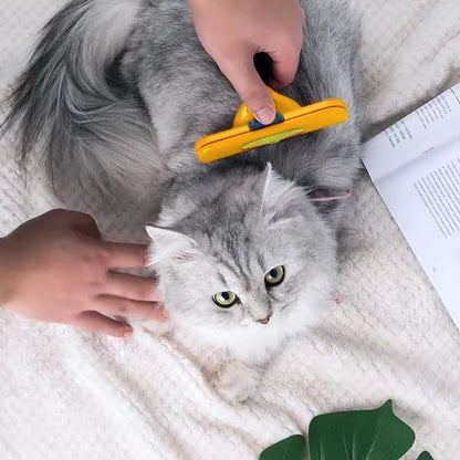 brosse pour chat design coloré chat allonge