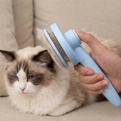 brosse pour chat legere bleu pastel chat