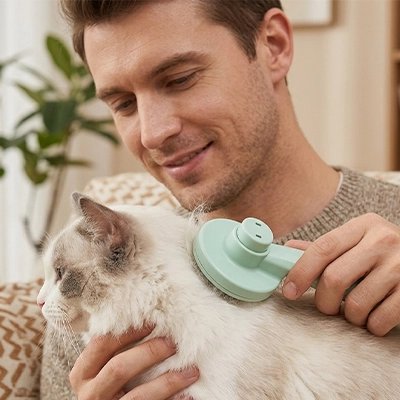 brosse pour chat legere vert menthe maitre