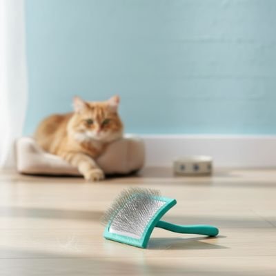 brosse pour chat poil long​ polyvalente vert chat