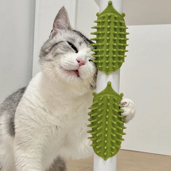 brosse pour chat silicone vert chat apaise