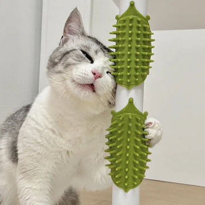 brosse pour chat silicone vert chat apaise