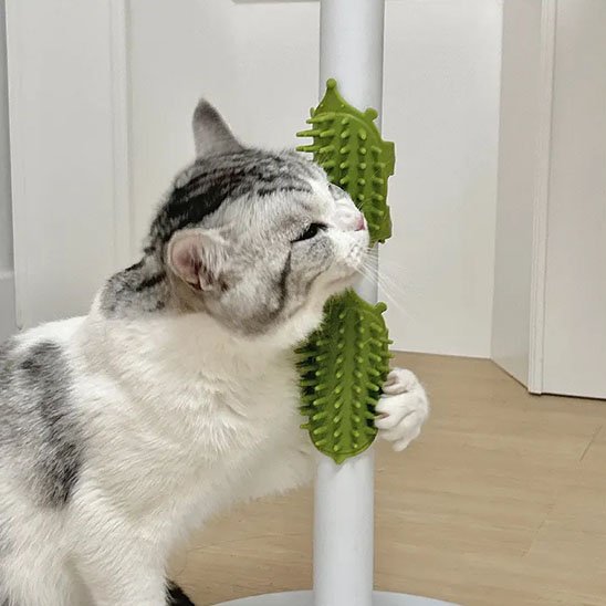 brosse pour chat silicone vert chat