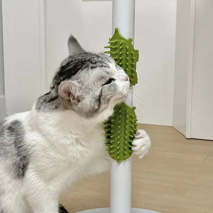 brosse pour chat silicone vert chat