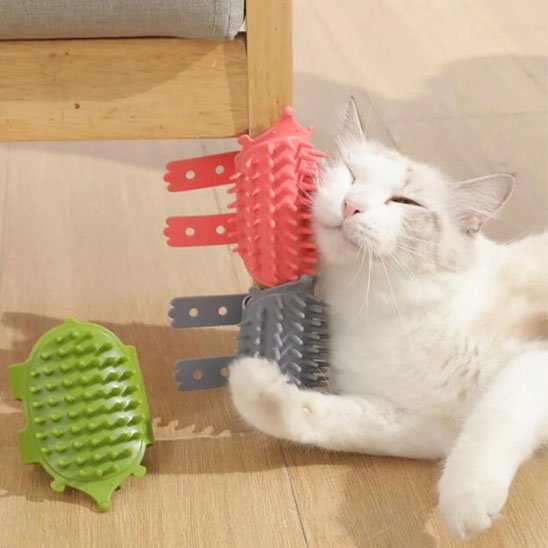 brosse pour chat silicone vert rose gris chat 